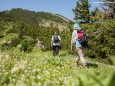 Wanderbare Gipfelklänge am 7. Juni 2015 - Lackenhof-Riffelsattel-Kleiner Ötscher-Eibenkogel-Fuchswaldhütte Weitental