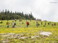 Wanderbare Gipfelklänge am 7. Juni 2015 - Lackenhof-Riffelsattel-Kleiner Ötscher-Eibenkogel-Fuchswaldhütte Weitental