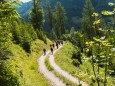 Gipfelklänge 2017: Durch Wald und Wiesen © Mostviertel Tourismus/Fred Lindmoser 