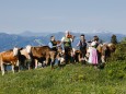 Vier Ausseer Geigen. Muckenkogel Lilienfeld ©Mostviertel Tourismus/Fred Lindmoser