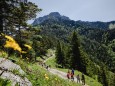 Richtung Bio-Hof Hinterbichler mit Gippel im Hintergrund ©Mostviertel Tourismus/Fred Lindmoser