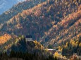 mariazell-goldener-herbst-23102021-0384