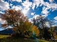 mariazell-goldener-herbst-23102021-0465