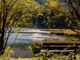 seewiesen-duerrsee-hochschwab-herbst-24102021-0512