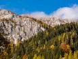 seewiesen-duerrsee-hochschwab-herbst-24102021-0588