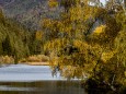 walstern-hubertussee-herbst-19102021-0309