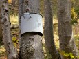 Göriacheralm und Hochanger Tour von der Seebergalm aus