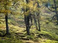 Göriacheralm und Hochanger von der Seebergalm aus