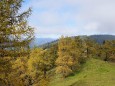 Göriacheralm und Hochanger Tour von der Seebergalm aus