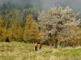 Göriacheralm und Hochanger Tour von der Seebergalm aus