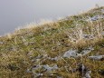 Göriacheralm und Hochanger Tour von der Seebergalm aus