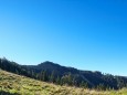 WALDAUFSTIEG GESCHAFFT; BLICK AUF KÖNIGSKOGELGRAD - Rundwanderung Schöneben-Proles-Königskogel-Dürriegelalm-Schöneben