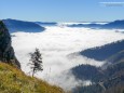 AUSBLICK VOM GR.PROLES - Rundwanderung Schöneben-Proles-Königskogel-Dürriegelalm-Schöneben