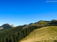 BLICK ZURÜCK AUF PROLES UND KÖNIGSKOGEL - Rundwanderung Schöneben-Proles-Königskogel-Dürriegelalm-Schöneben