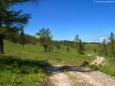 Graualm - Auf die Graualm über Seeleiten, Prinzensteig zum Brandhof