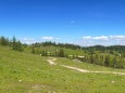 Graualm - Auf die Graualm über Seeleiten, Prinzensteig zum Brandhof