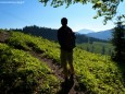 Auf die Graualm über Seeleiten, Prinzensteig zum Brandhof