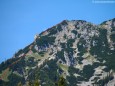 Seeleiten - Auf die Graualm über Seeleiten, Prinzensteig zum Brandhof