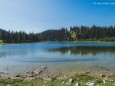 bodenbauer-haeuslalm-sackwiesensee-sonnschien-1050198