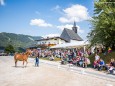 Haflingermarkt am Joachimsberg bei Annaberg am 22. August 2015