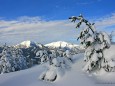 Buergeralpe_Ausblick Foto: Hans Hölblinger