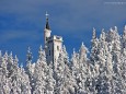 Buergeralpe_Aussichtsturm  Foto: Hans Hölblinger