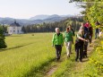 Auch am Wegesrand wachsen unzählige Kräuter. Heilige und Heilende Wege nach Mariazell - Kräutergärten am Sebastianiweg