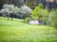 Heilige und Heilende Wege nach Mariazell - Kräutergärten am Sebastianiweg