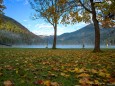 Erlaufsee am Morgen - 12. Oktober 2012