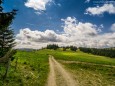 Hinteralm - Wanderung auf die Hinteralm (1450 m) ab Frein