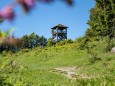 Hochbärneck Rundwanderung vom Almgasthaus zum Almgasthaus