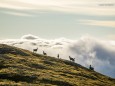 Gämsen - Hochschwab-Tour mit Sonnenuntergang und Sonnenaufgang am Gipfel