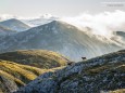 Gämsen - Hochschwab-Tour mit Sonnenuntergang und Sonnenaufgang am Gipfel