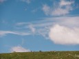 Segelflieger über den Steinböcken | hochschwab-rundwanderung-mit-steinbock-anblick-13072022-1748