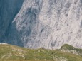 hochschwab-rundwanderung-mit-steinbock-anblick-13072022-1894