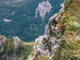 hochschwab-rundwanderung-mit-steinbock-anblick-13072022-1901