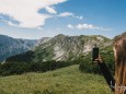 Seeleiten | hochschwab-rundwanderung-mit-steinbock-anblick-13072022-1902