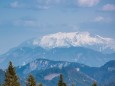 Tour auf den Hochstadelberg (1285m) von Wastl am Wald