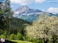 Höfe-Wanderung am Joachimsberg (28.5.2016)