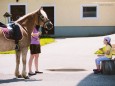 Höfe-Wanderung am Joachimsberg (28.5.2016)