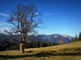 Sohlenalm - Hohe Veitsch (1981m) mit Start vom Niederalpl am 21.Oktober 2012