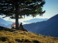 Sohlenalm - Hohe Veitsch (1981m) mit Start vom Niederalpl am 21.Oktober 2012