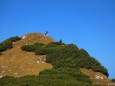 Am Weg zum Grossen Wildkamm - Hohe Veitsch (1981m) mit Start vom Niederalpl am 21.Oktober 2012