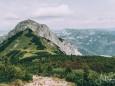 Fast oben angekommen- Blick auf Großen Wildkamm | Hohe Veitsch - Rundtour