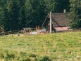 Rotsohlalm | Hohe Veitsch - Rundtour