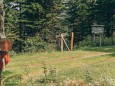 Rotsohlalm | Hohe Veitsch - Rundtour