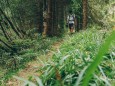 Abstieg in den Rotsohlgraben | Hohe Veitsch - Rundtour