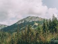 Noch ein Blick zurück zur Hohen Veitsch - Rundtour