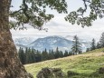 Hohe Veitsch (1981 m) - Rundtour - Foto: Thomas Lammer