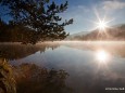 Hubertussee Walstern